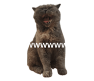859131535