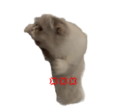 859131536
