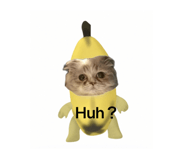 859131540