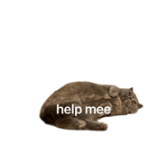 859131542