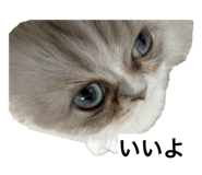 859131544