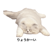 859131550