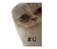 859131552