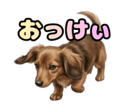 859134051