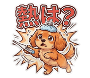 859135365