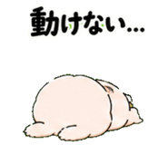 859139961