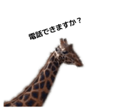 859142457