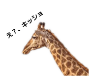 859142458