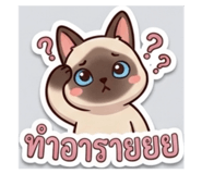 859144418