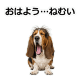 859145593