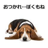 859145596
