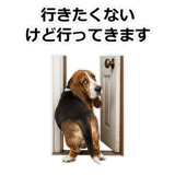 859145597