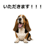 859145600