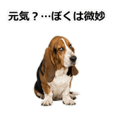 859145602