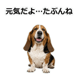 859145603