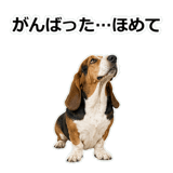 859145605