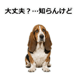 859145608