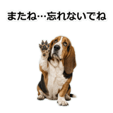 859145611