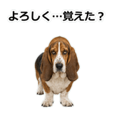 859145612