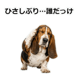 859145613