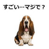 859145614