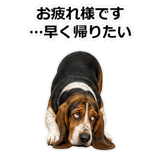 859145625