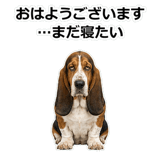 859145629