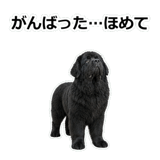 859145645