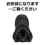 859145670