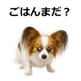 859145713