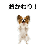 859145717