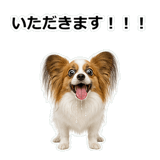 859145718