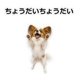 859145724