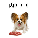 859145727