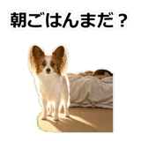 859145736
