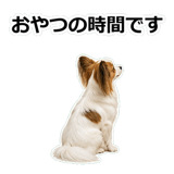 859145737