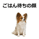 859145741
