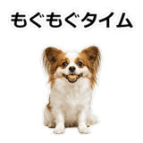 859145743