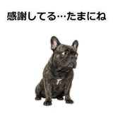 859145781