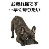 859145785