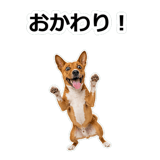 859145813