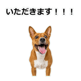 859145814