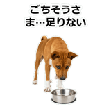 859145816