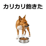 859145817