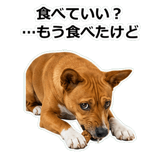 859145821