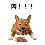 859145823
