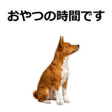 859145833