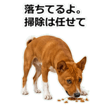 859145834