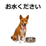 859145836
