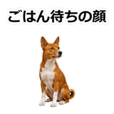 859145837